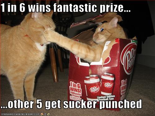 funny-pictures-one-cat-gets-punched1.jpg