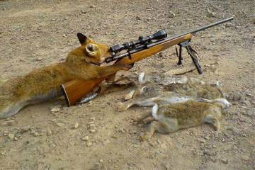 ban_fox_hunting